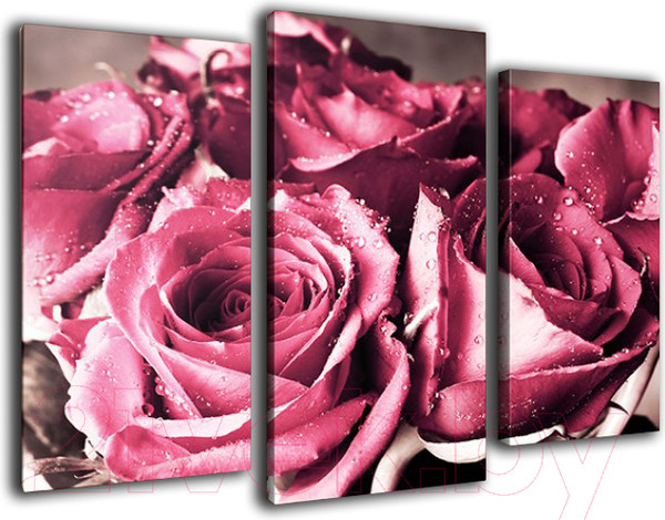 Изображение товара Картина модульная Arthata m-000468 (75x50)