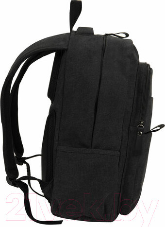 Изображение товара Рюкзак Brauberg Пульс / 225296