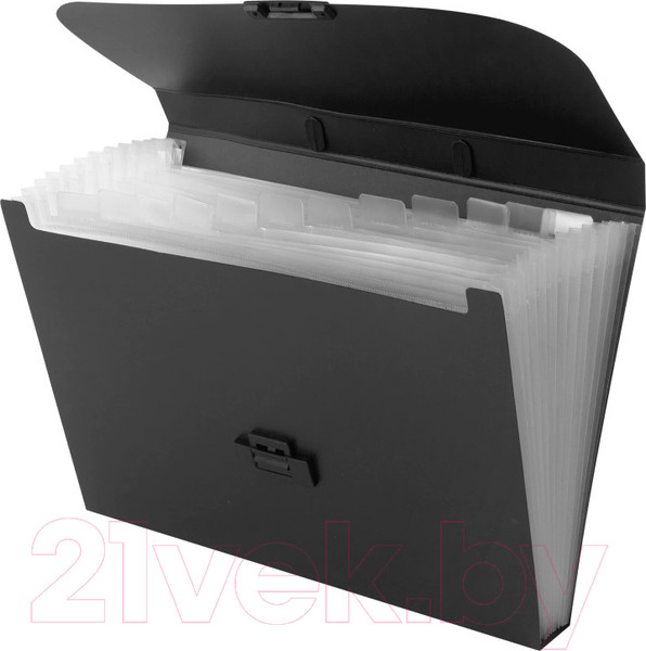 Изображение товара Папка-портфель Staff А4 / 229245 (черный)