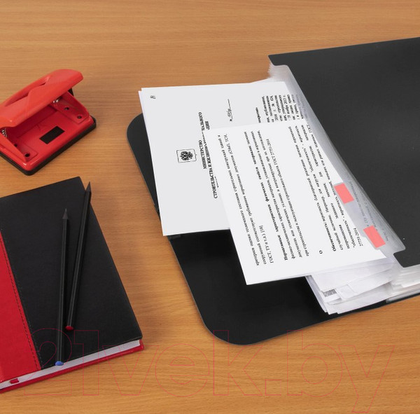 Изображение товара Папка-портфель Staff А4 / 229245 (черный)