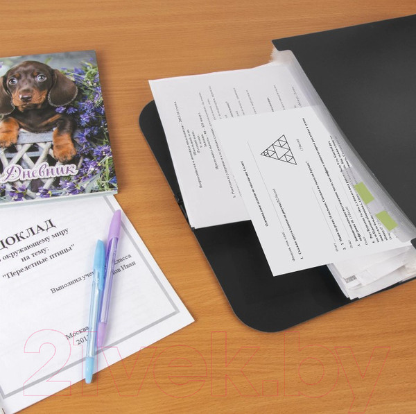 Изображение товара Папка-портфель Staff А4 / 229245 (черный)