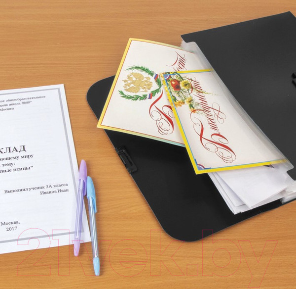 Изображение товара Папка-портфель Staff А4 / 229245 (черный)