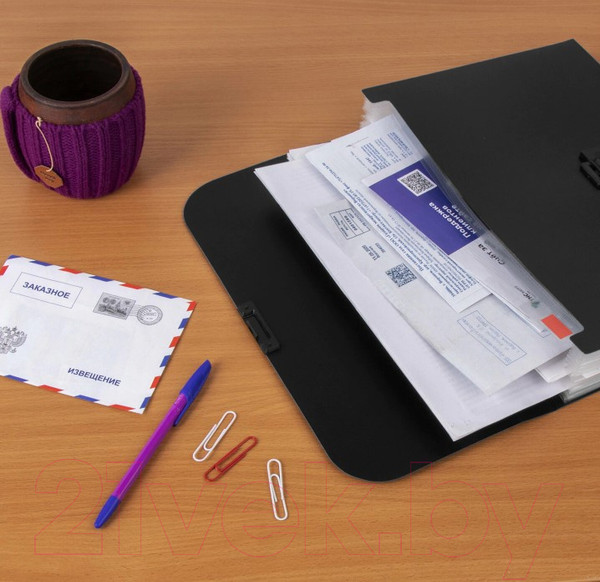 Изображение товара Папка-портфель Staff А4 / 229245 (черный)