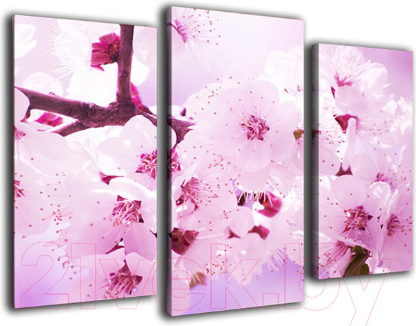 Изображение товара Картина модульная Arthata m-000470 (120x80)