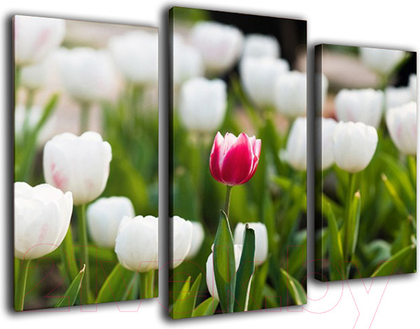 Изображение товара Картина модульная Arthata m-000473 (90x60)