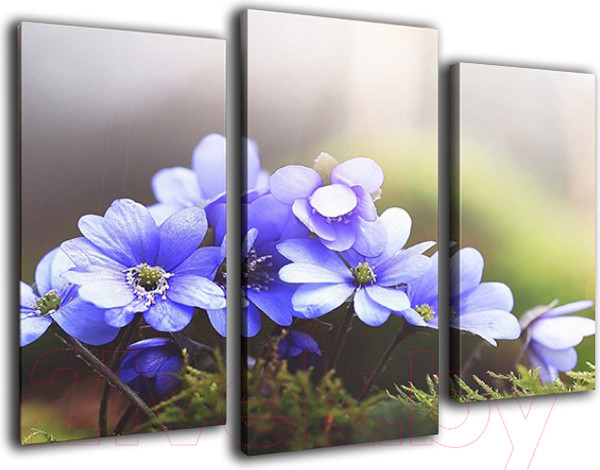 Изображение товара Картина модульная Arthata m-000474 (90x60)