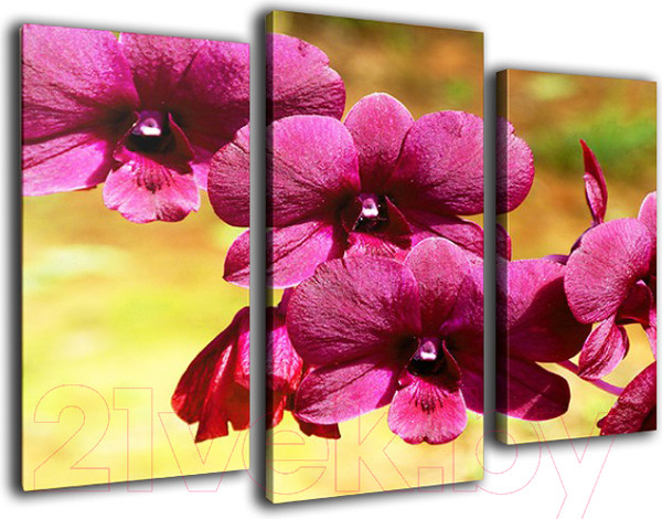 Изображение товара Картина модульная Arthata m-000476 (75x50)