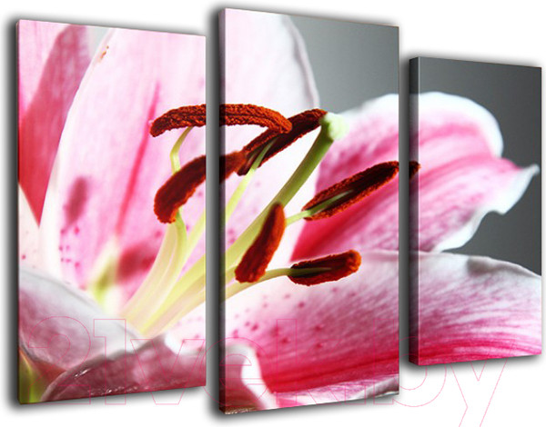 Изображение товара Картина модульная Arthata m-000477 (75x50)