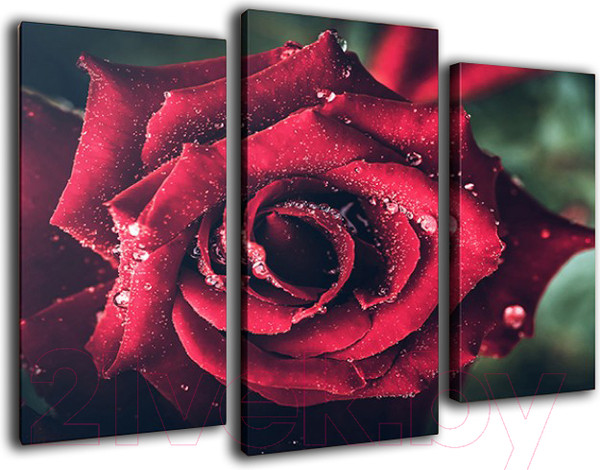 Изображение товара Картина модульная Arthata m-000478 (75x50)
