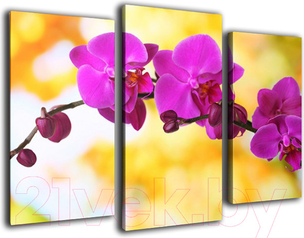 Изображение товара Картина модульная Arthata m-000481 (90x60)