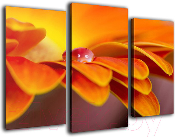 Изображение товара Картина модульная Arthata m-000482 (75x50)