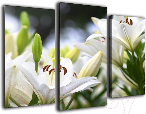 Изображение товара Картина модульная Arthata m-000483 (120x80)