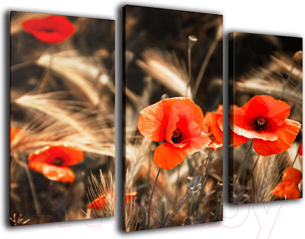 Изображение товара Картина модульная Arthata m-000488 (120x80)