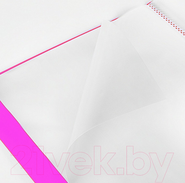 Изображение товара Папка для бумаг Brauberg Neon / 227450 (неоновый розовый)