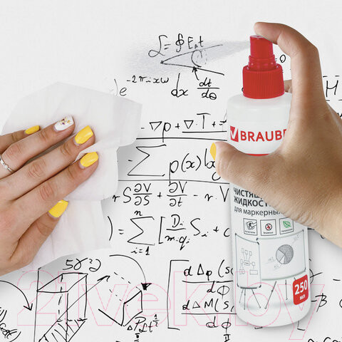 Изображение товара Очиститель для доски Brauberg 510119