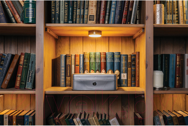 Изображение товара Кэшбокс Brauberg 291059 (серебристый)