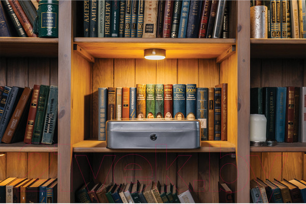 Изображение товара Кэшбокс Brauberg 291060 (серебристый)