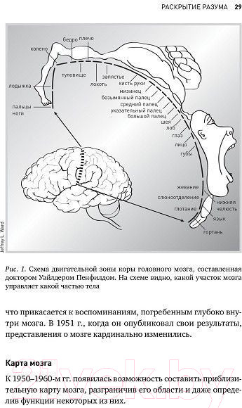 Изображение товара Книга Альпина Будущее разума (Каку М.)
