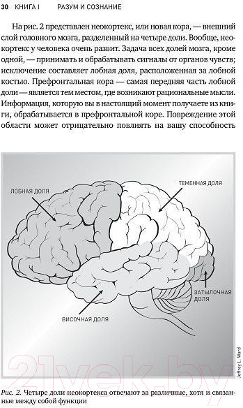 Изображение товара Книга Альпина Будущее разума (Каку М.)