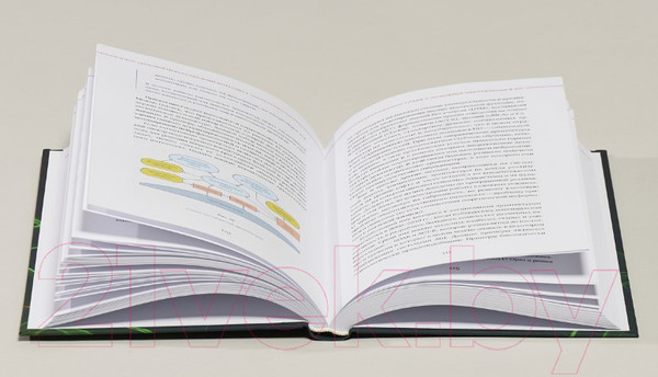 Изображение товара Книга Альпина Сильный искусственный интеллект: На подступах к сверхразуму