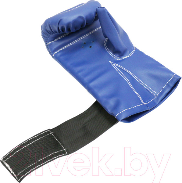 Изображение товара Боксерские перчатки RuscoSport к/з (S, синий)
