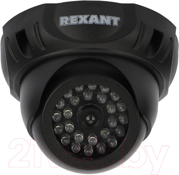 Изображение товара Муляж камеры Rexant RX-303 / 45-0303