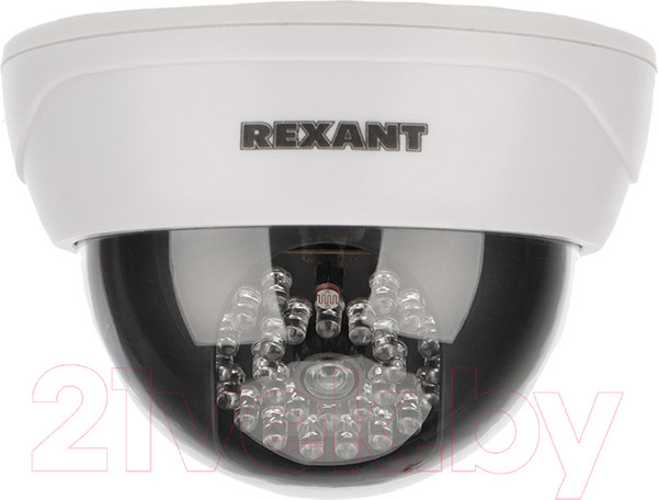 Изображение товара Муляж камеры Rexant RX-305 / 45-0305