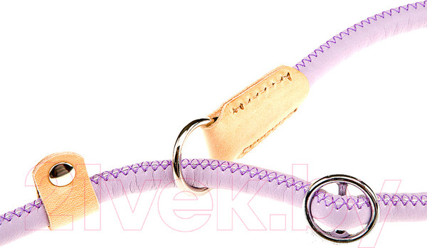 Изображение товара Ошейник с поводком Ferplast Derby GC12/170 (фиолетовый)