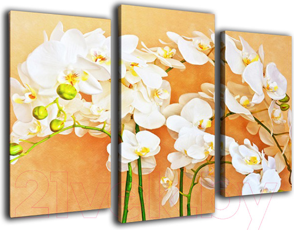 Изображение товара Картина модульная Arthata m-000490 (75x50)