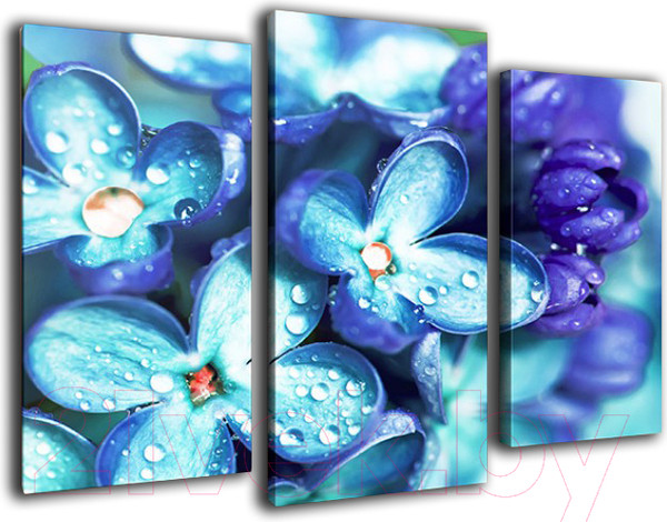 Изображение товара Картина модульная Arthata m-000492 (75x50)