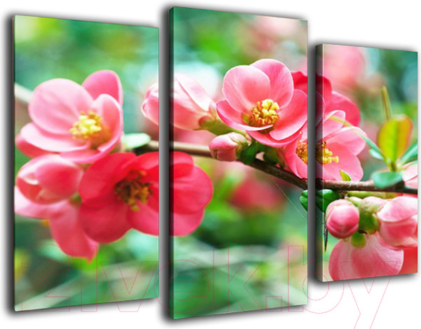 Изображение товара Картина модульная Arthata m-000493 (75x50)