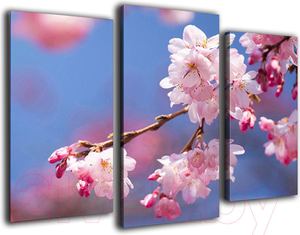 Изображение товара Картина модульная Arthata m-000495 (90x60)