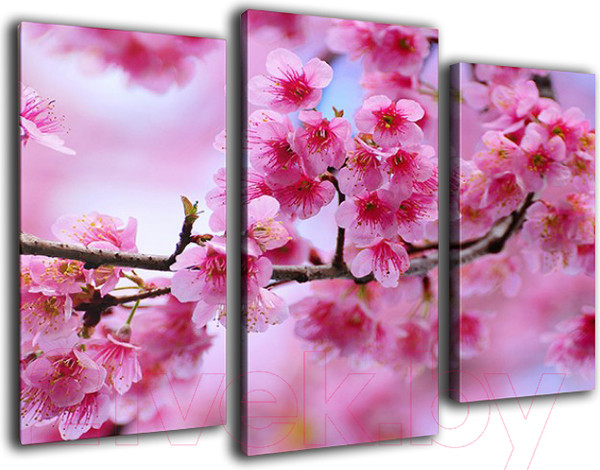 Изображение товара Картина модульная Arthata m-000497 (90x60)