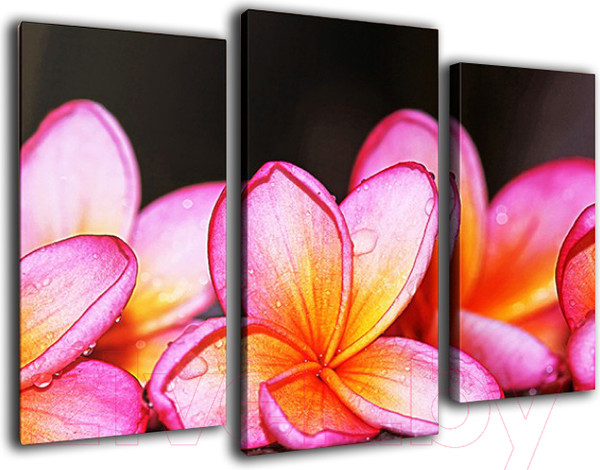 Изображение товара Картина модульная Arthata m-000498 (120x80)