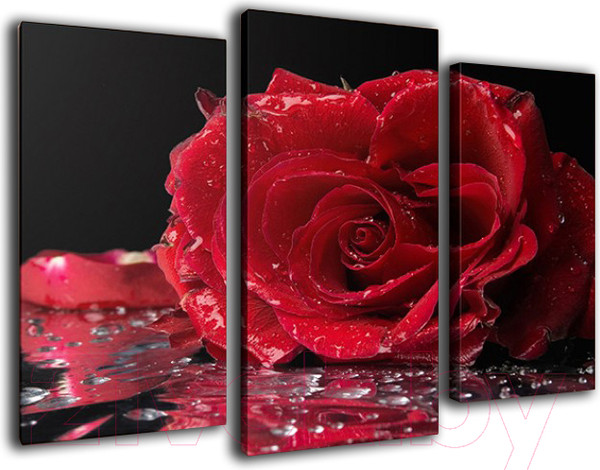 Изображение товара Картина модульная Arthata m-000499 (120x80)