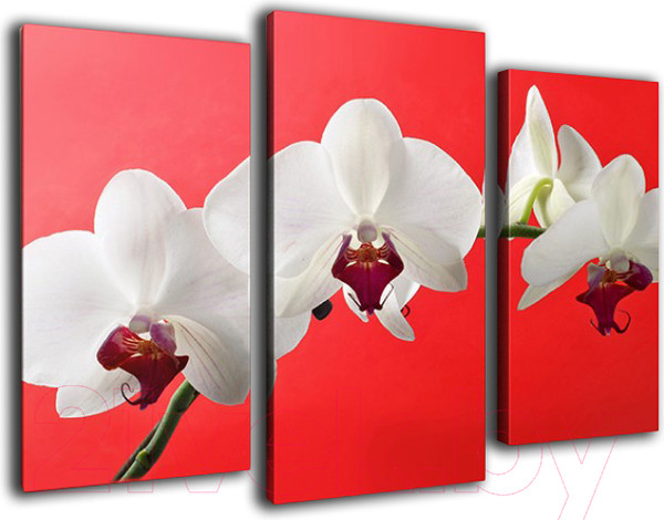 Изображение товара Картина модульная Arthata m-000500 (75x50)