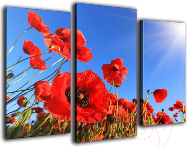 Изображение товара Картина модульная Arthata m-000501 (90x60)