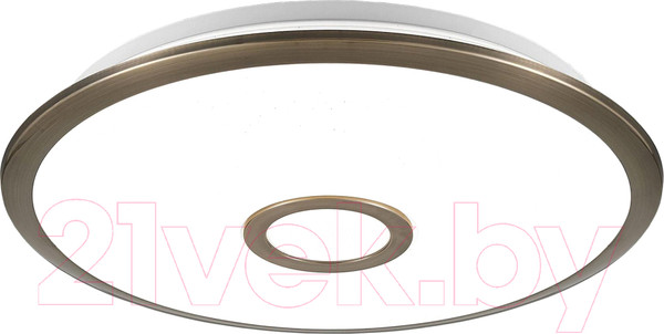 Изображение товара Потолочный светильник Citilux Старлайт CL703A43G