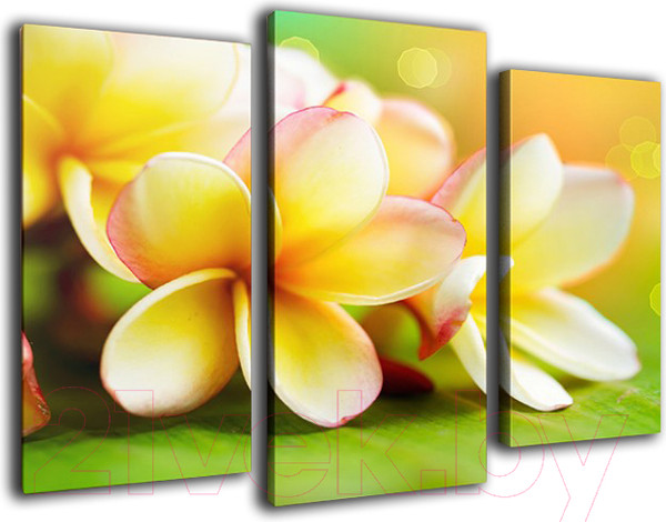 Изображение товара Картина модульная Arthata m-000502 (75x50)