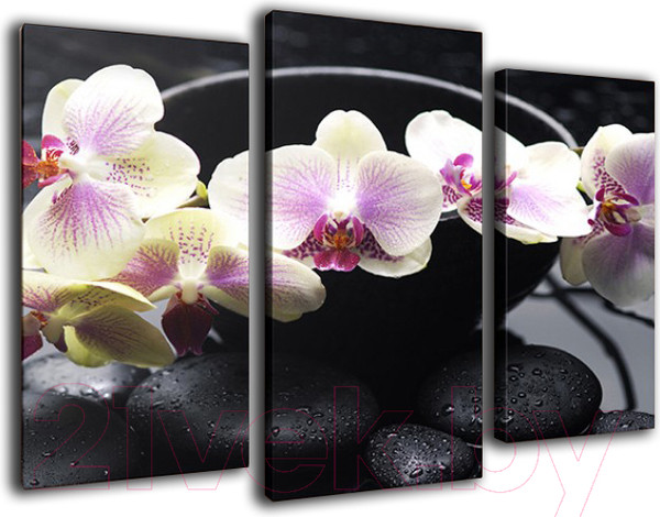 Изображение товара Картина модульная Arthata m-000503 (75x50)