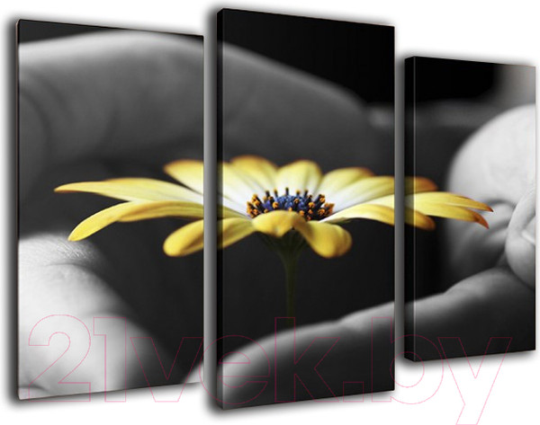 Изображение товара Картина модульная Arthata m-000504 (75x50)