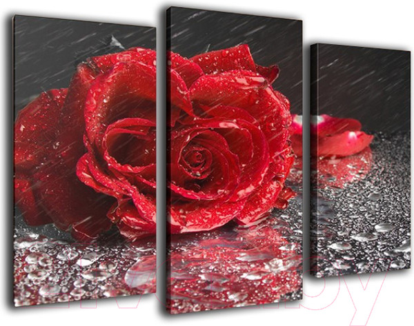 Изображение товара Картина модульная Arthata m-000505 (90x60)