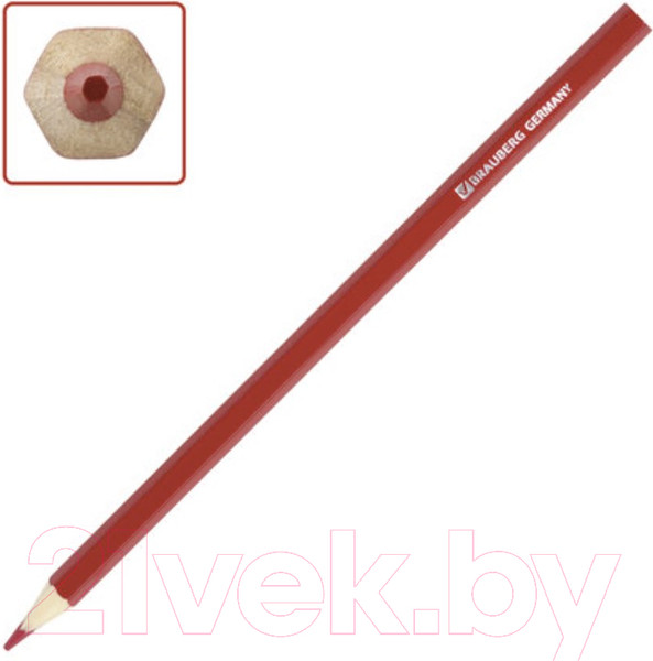 Изображение товара Набор цветных карандашей Brauberg My Lovely Dogs / 180531 (12шт)