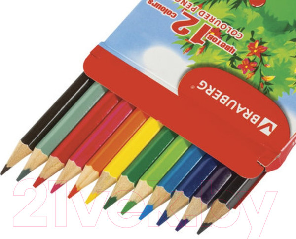 Изображение товара Набор цветных карандашей Brauberg My Lovely Dogs / 180531 (12шт)