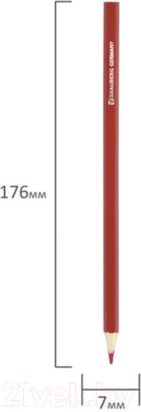 Изображение товара Набор цветных карандашей Brauberg My Lovely Dogs / 180531 (12шт)