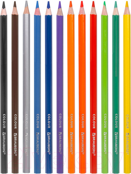 Изображение товара Набор цветных карандашей Brauberg Premium / 181656 (12цв)