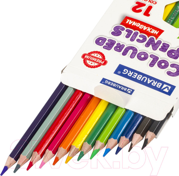 Изображение товара Набор цветных карандашей Brauberg Premium / 181656 (12цв)