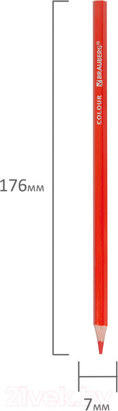 Изображение товара Набор цветных карандашей Brauberg Premium / 181656 (12цв)