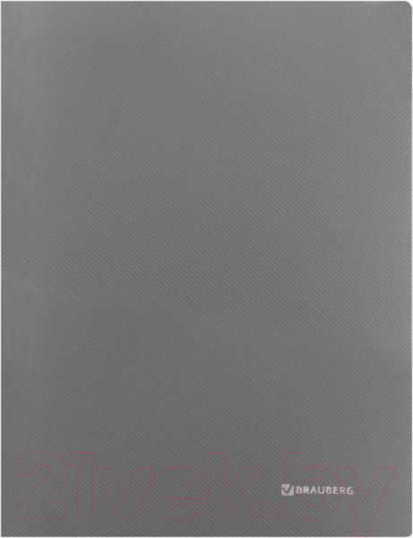 Изображение товара Папка для бумаг Brauberg Диагональ / 221353 (серебристый)