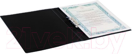 Изображение товара Папка для бумаг Brauberg Стандарт / 221630 (черный)